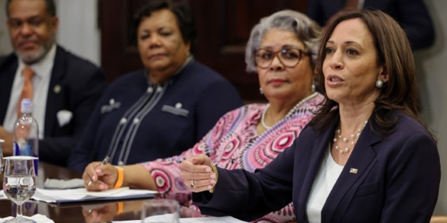 Vice President Kamala Harris will receive members of the Texas Senate and House of Representatives who blocked legislation that would make it harder for Texas residents to vote in May, Washington, DC, June 16, 2021. . (Reuters)
