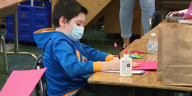 An elementary school student