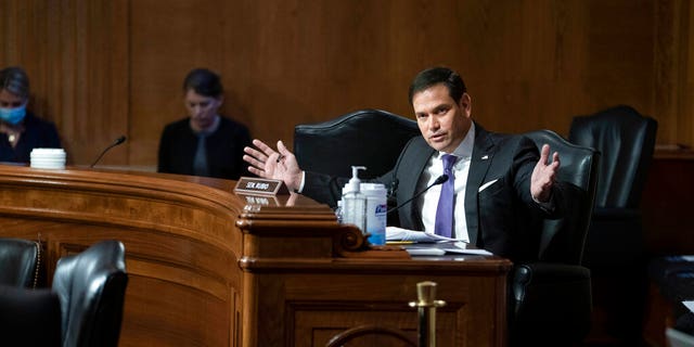 Sen. Marco Rubio, R-Fla., speaks during a Senate Appropriations Subcommittee looking into the budget estimates for National Institute of Health (NIH) and the state of medical research, Wednesday, May 26, 2021, on Capitol Hill in Washington. (Sarah Silbiger/Pool via AP)
