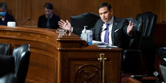 Senator Marco Rubio, R-Fla., Speaks at a Senate Supply Subcommittee examining National Institute of Health (NIH) budget estimates and the state of medical research, Wednesday, May 26, 2021, at Capitol Hill in Washington. (Sarah Silbiger / Pool via AP)