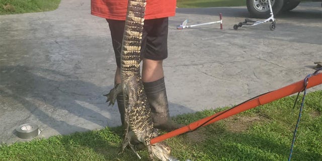 Chris Suljack, of Wildwood, Mo., spoke with Fox News and explained that he was mowing the lawn when he saw something in the creek on his property.