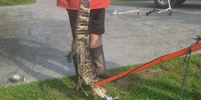 Chris Suljack, of Wildwood, Mo., spoke with Fox News and explained that he was mowing the lawn when he saw something in the creek on his property.