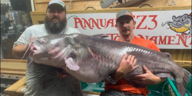 Rocky Baker spoke with Fox News about catching the fish, which is in the process of being certified as a new state record.