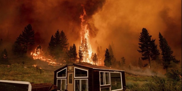 The Tamarack Fire, which was sparked by lightning on July 4, exploded overnight and was over 32 square miles as of Saturday evening.