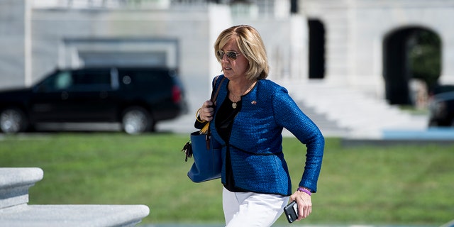 Rep. Claudia Tenney, R-N.Y., walks up the House steps on Thursday, July 19, 2018.