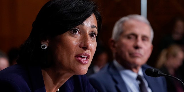 Dr Rochelle Walensky, director of the Centers for Disease Control and Prevention (CDC), and top infectious disease expert Dr Anthony Fauci testify before the Senate Committee on Health, Education, Work and Pensions at Capitol Hill in Washington, Tuesday, July 20, 2021. (AP Photo / J. Scott Applewhite, Pool)