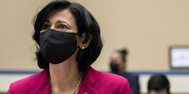 April 15, 2021: Dr. Rochelle Walensky, director of the U.S. Centers for Disease Control and Prevention (CDC), wears a protective mask during a Select Subcommittee On Coronavirus Crisis hearing in Washington, D.C.