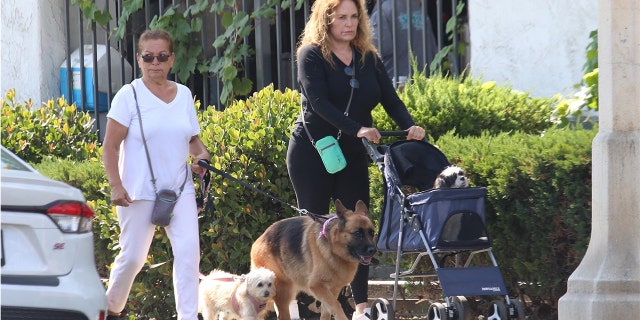 Catherine Bach was pictured walking her dogs in Los Angeles with the help of a companion.