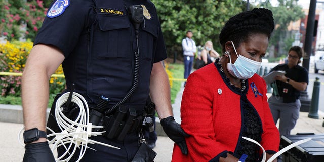 La représentante américaine Sheila Jackson Lee, D-Texas, a été arrêtée par un membre du département de police du Capitole des États-Unis qui a participé à un tollé général le 29 juillet 2021, lors d'une manifestation devant l'immeuble de bureaux du Sénat du cœur à Capitol Hill.  (Getty Images)
