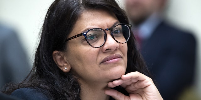 Rep. Rashida Tlaib, D-Mich., one of the most notorious anti-Israel House lawmakers, has made numerous wild claims about the Jewish homeland, including being an "apartheid" state that targets Palestinians and claiming a person can’t be progressive if they back Israel.