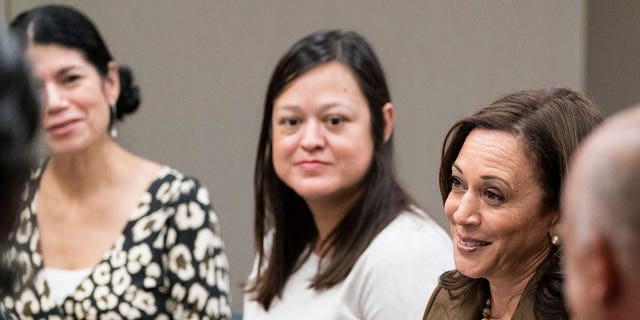 Vice President Kamala Harris meets with Democrats of the Texas Legislature at the American Federation of Teachers, Tuesday, July 13, 2021 in Washington.  (Associated Press)