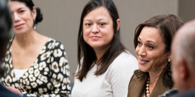 Vice President Kamala Harris meets with Democrats from the Texas state legislature at the American Federation of Teachers, Tuesday, July 13, 2021, in Washington. (Associated Press)