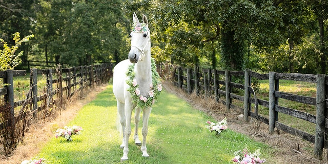 Leggio’s mom Melissa to Fox News: "It was a happy and sad moment. To see her get excited about the unicorn and have a day just about her was amazing."