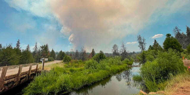 In this photo provided by the Bootleg Fire Incident Command, the Bootleg Fire burns in the background behind the Sycan Marsh in southern Oregon on Saturday, July 17, 2021. (Bootleg Fire Incident Command via AP)
