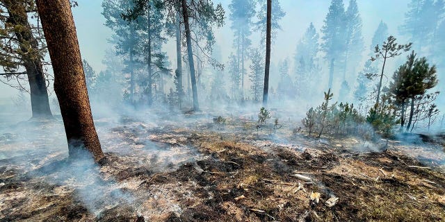 In this photo provided by the Bootleg Fire Incident Command, the Bootleg Fire is seen smoldering in southern Oregon, Saturday, July 17, 2021. (Bootleg Fire Incident Command via AP)
