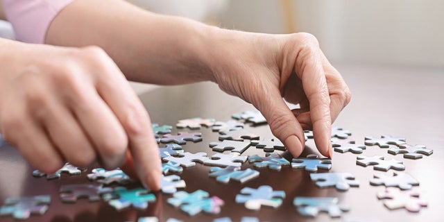 Elderly woman hands doing jigsaw puzzle at home, panorama, close up