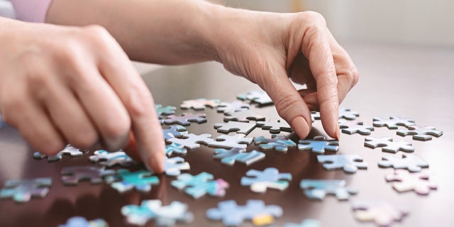 Elderly woman hands doing jigsaw puzzle at home, panorama, close up