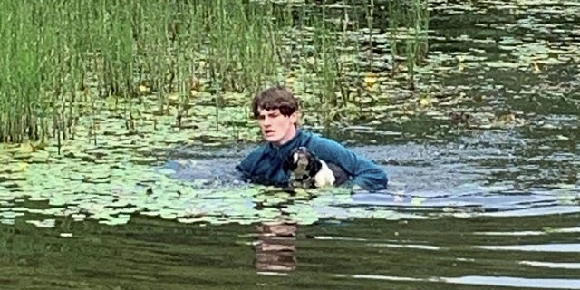 Conor Telfer rescató a un perro llamado Charlie de Lake Penllergare Valley Woods.