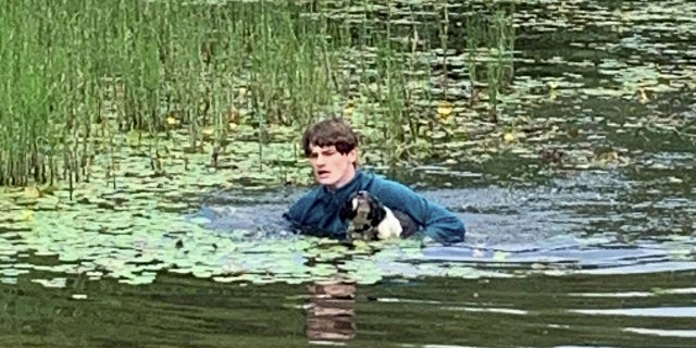 Conor Telfer rescató a un perro llamado Charlie de Lake Penllergare Valley Woods.