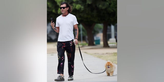 Gavin Rossdale walks his dog after his ex-wife, Gwen Stefani, married Blake Shelton on July 3. 