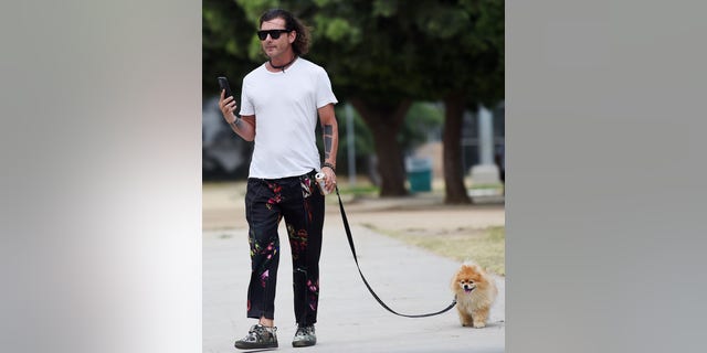 Gavin Rossdale walks his dog after his ex-wife, Gwen Stefani, married Blake Shelton on July 3. 