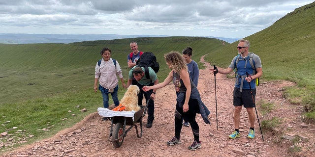 Ten-year-old Monty, a labradoodle, enjoyed exploring hills and walks all over the country with his owner, Carlos Fresco.