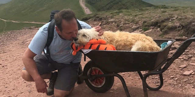 Carlos Fresco taking his dying pet dog Monty up his favorite mountain, Pen y Fan in the Brecon Beacons.