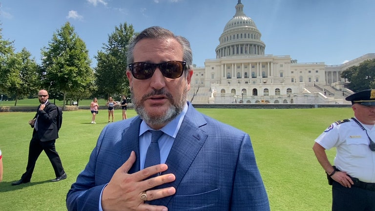 Republicans join 'free Cuba' protesters outside U.S. Capitol: 'Liberty will prevail'