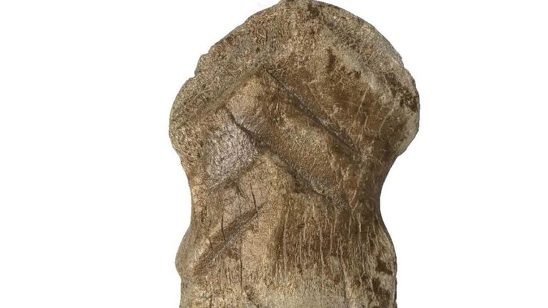 Prehistoric deer bone believed to be among world’s oldest pieces of art