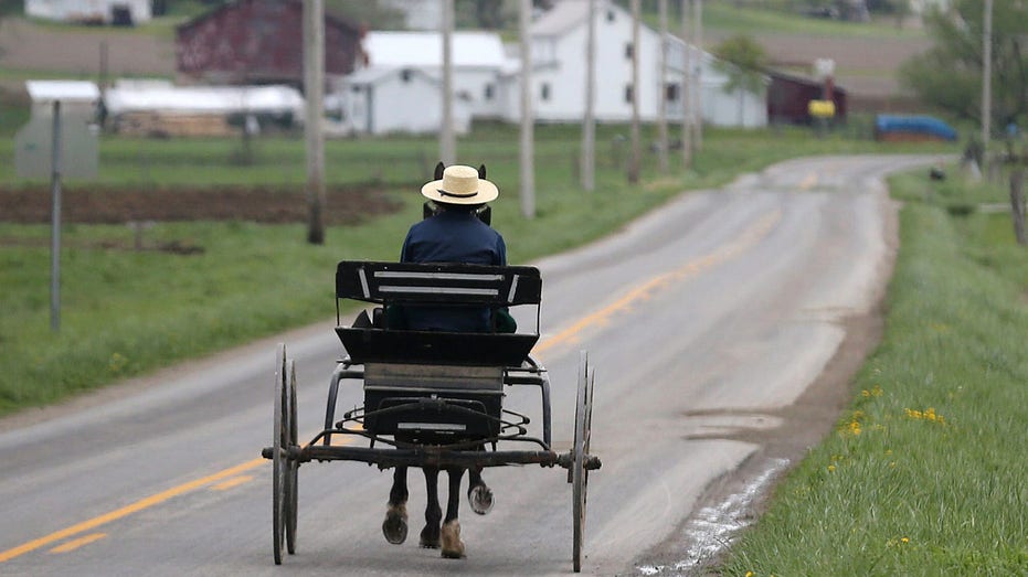 Appellate court sides with Amish community in religious freedom septic tank case