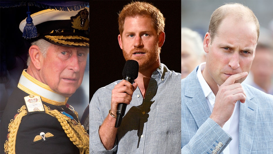 Prince William, Prince Charles are ‘shaken up’ and ‘nervous’ about Prince Harry’s upcoming memoir, source says