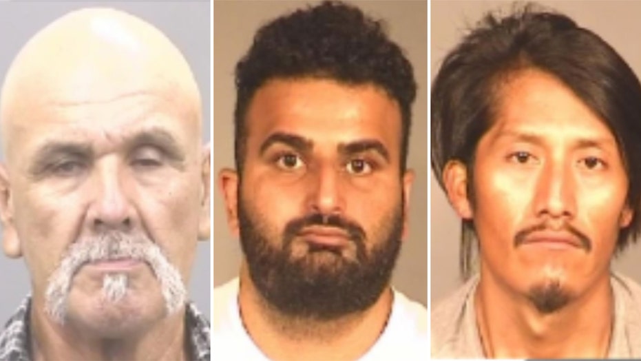 California child sex ring busted; 21 arrested: reports