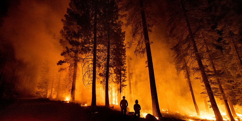 California college professor set arson fire near Dixie Fire, authorities say - Vimarsana News