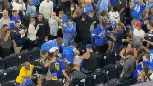 Wild brawl at NFL game sends fists and drinks flying — so what sparked it?