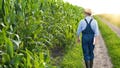 Farmer with clipboard inspecting corn at field - Fox News