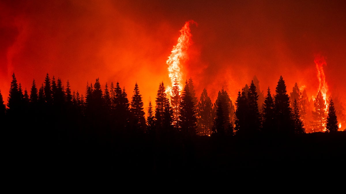 Flames from the Dixie Fire crest a hill in Lassen National Forest, Calif., near Jonesville on Monday, July 26, 2021. (AP Photo/Noah Berger)