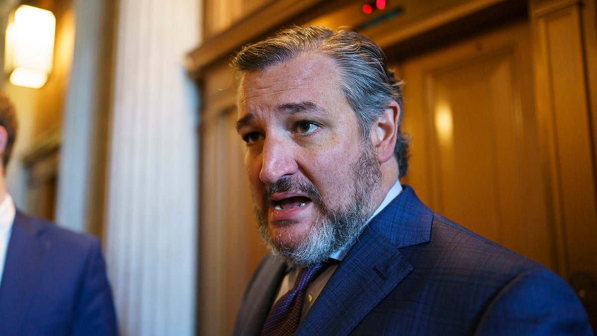 Sen. Ted Cruz, R-Texas, at the Capitol in Washington, Thursday, Aug. 5, 2021. (AP Photo/J. Scott Applewhite)