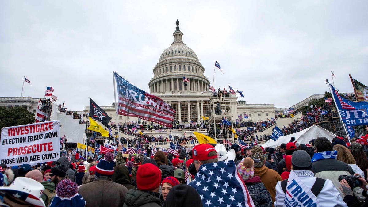 Capitol riot protesters in Washington, D.C.