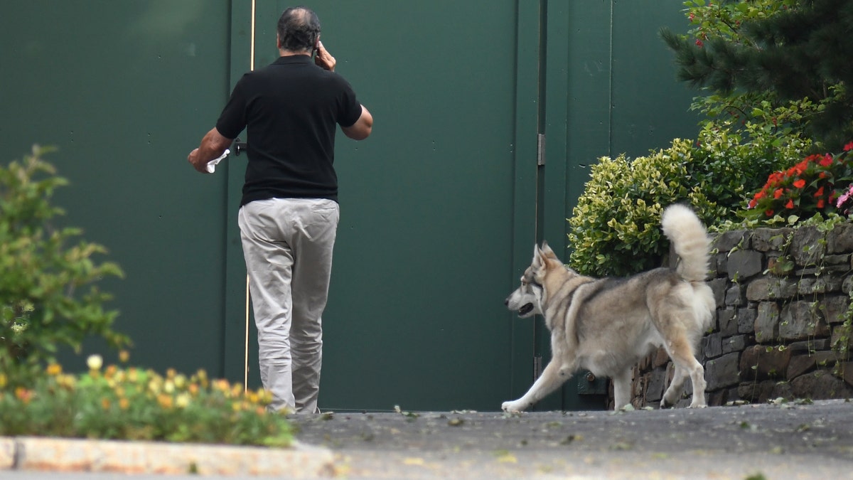Gov. Andrew Cuomo talks on the phone while walking with his dog Captain at the New York state Executive Mansion, Saturday, Aug. 7, 2021, in Albany, N.Y. An investigation found that New York Gov. Andrew Cuomo sexually harassed multiple women in and out of state government. (AP Photo/Hans Pennink)