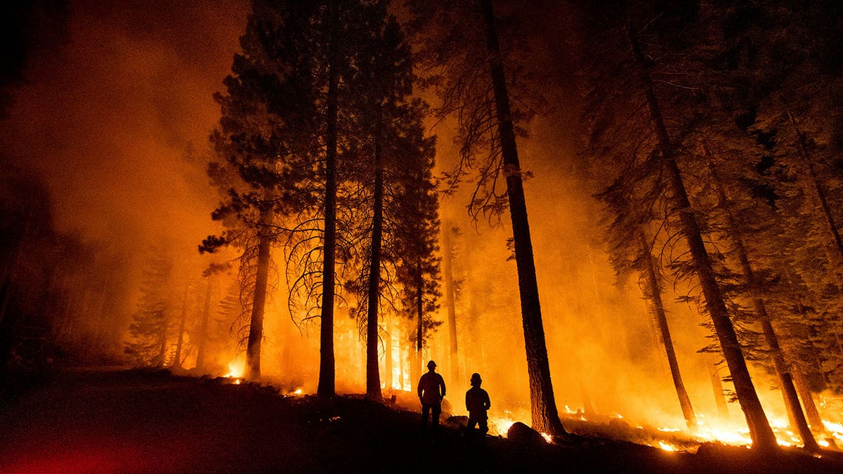 Cal Fire Capts. Derek Leong, right, and Tristan Gale monitor a firing operation, where crews set a ground fire to stop a wildfire from spreading, while battling the Dixie Fire in Lassen National Forest, California, on Monday, July 26, 2021. (Associated Press)