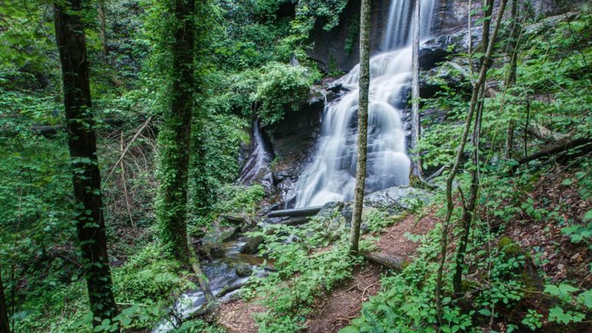 The Chattahoochee-Oconee National Forest, Dahlonega is a place well-suited for adventurers.