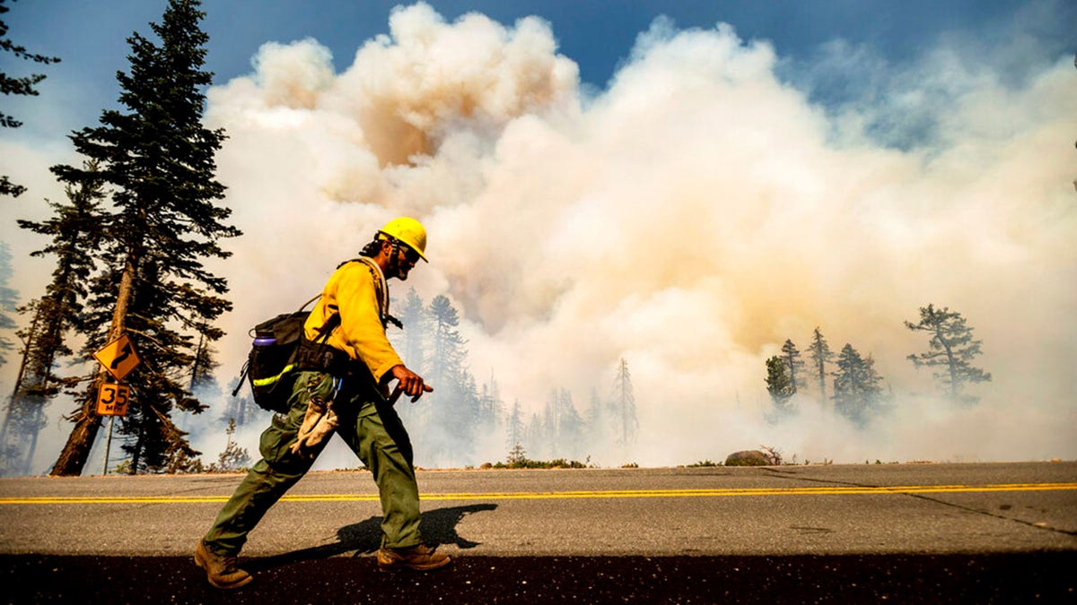 A firefighter battles the Dixie Fire along Highway 89 in Lassen National Forest, Calif., on Monday, Aug. 16, 2021. Critical fire weather throughout the region threatens to spread multiple wildfires burning in Northern California.