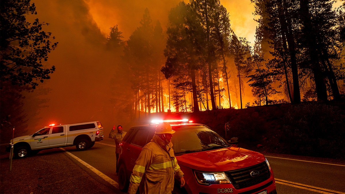 Flames leap from trees as the Dixie Fire jumps Highway 89 north of Greenville in Plumas County, Calif., on Tuesday, Aug. 3, 2021. Dry and windy conditions have led to increased fire activity as firefighters battle the blaze which ignited July 14.?