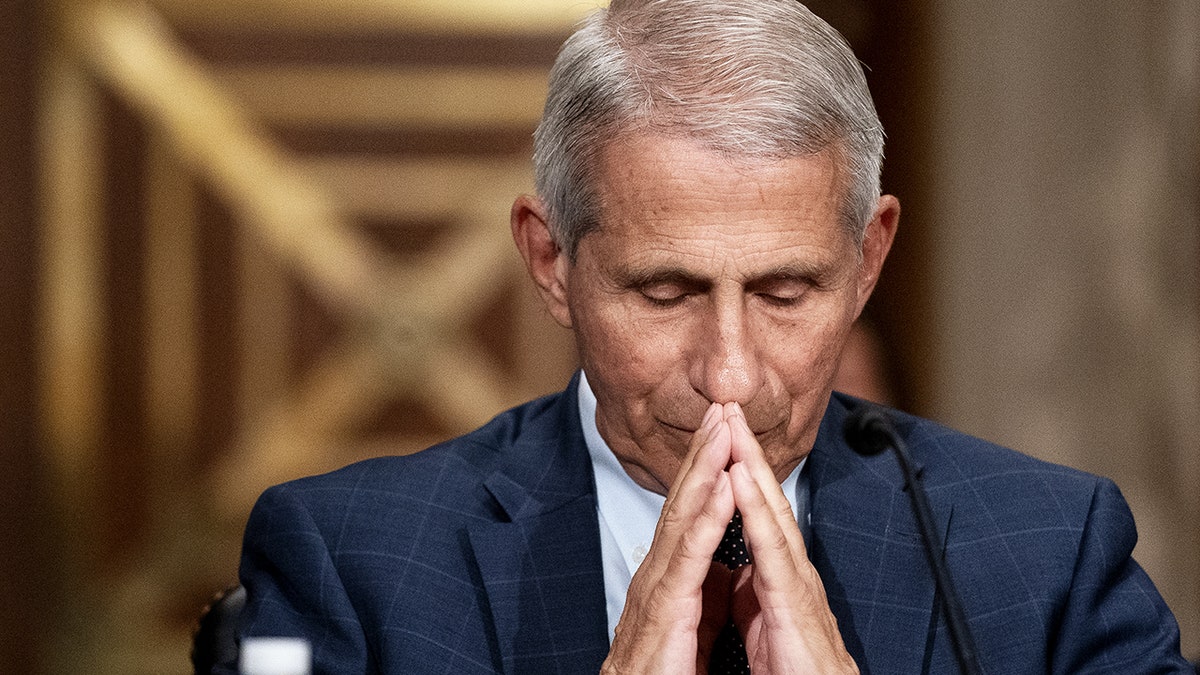 Dr Anthony Fauci in senate hearing in Washington