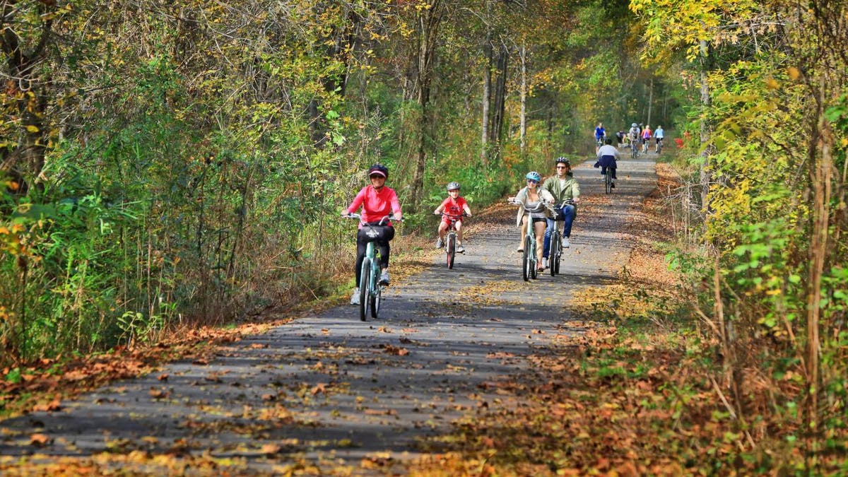 Greenville has the Prisma Health Swamp Rabbit Trail, a 22-mile beginner-friendly bike trail that you can take to five nearby state parks.
