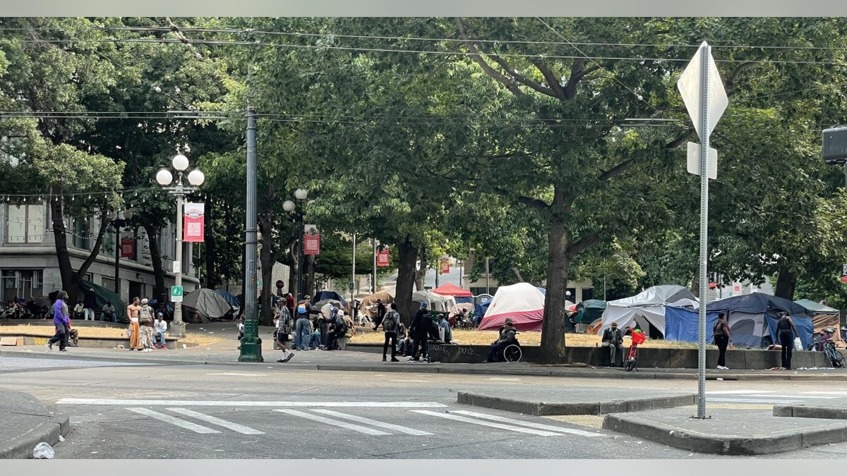 The homeless encampment at Seattle's City Hall Park.