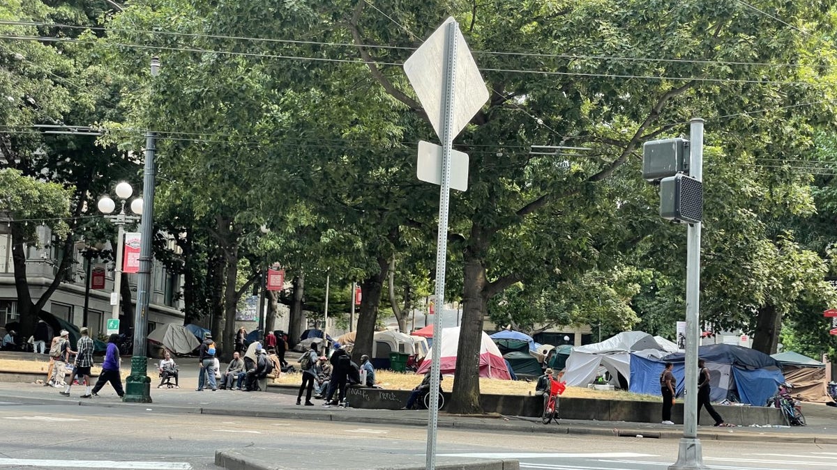 A view of the homeless encampment at Seattle's City Hall Park