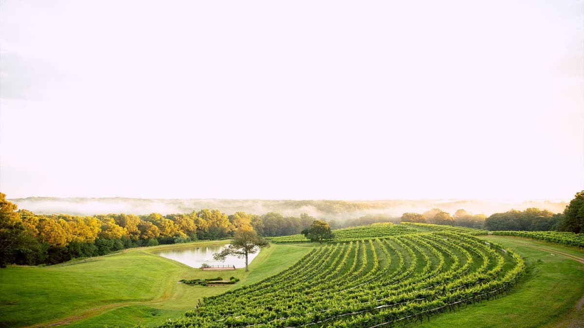 Grab an Uber, Lyft, or designated driver and tackle the 39-mile <u>wine trail</u> and sip at some of the best vineyards and wineries Northern Georgia has to offer.