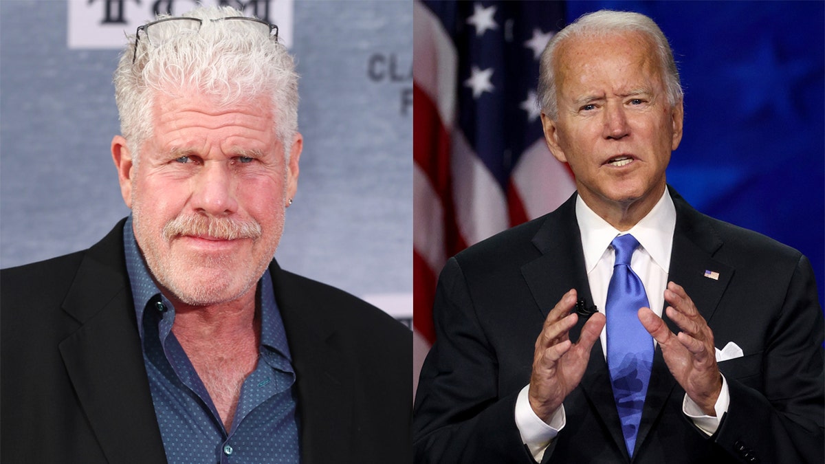 Actor Ron Perlman posted a video message asking Joe Biden to escort Afghanistan citizens to the airport in order to leave the country.