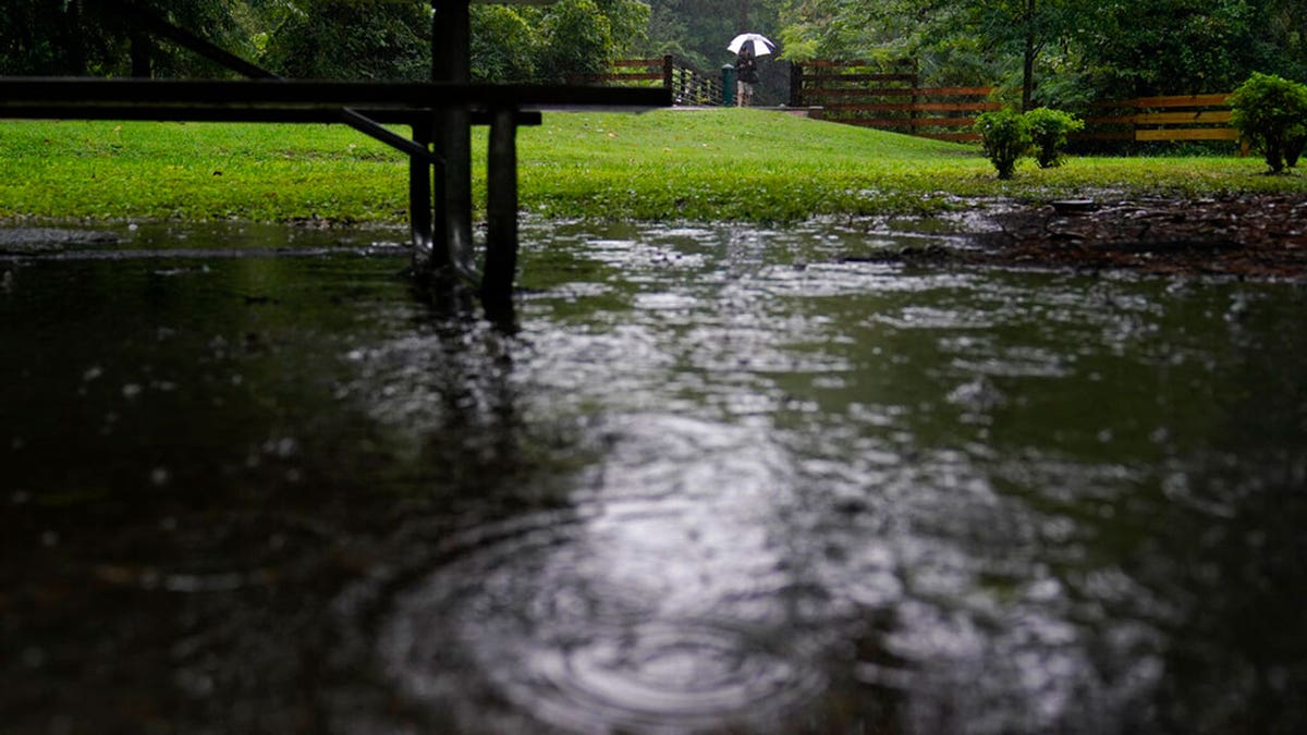A person with an umbrella walks near a flooded park bench around Nancy Creek near Atlanta, as Tropical Storm Fred makes its way through north and central Georgia on Tuesday, Aug. 17, 2021. 